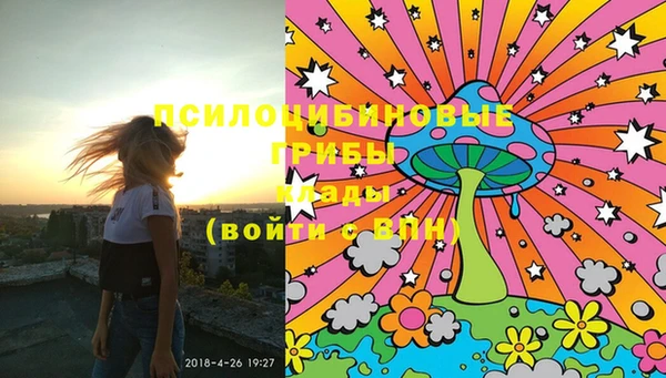 ГАЛЛЮЦИНОГЕННЫЕ ГРИБЫ Навашино