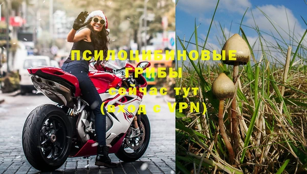 ГАЛЛЮЦИНОГЕННЫЕ ГРИБЫ Навашино